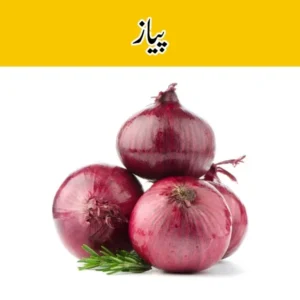 Onion
