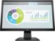 HP P204V 19.5-inch Monitor