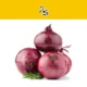 Onion