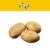 Potato (Aloo) White